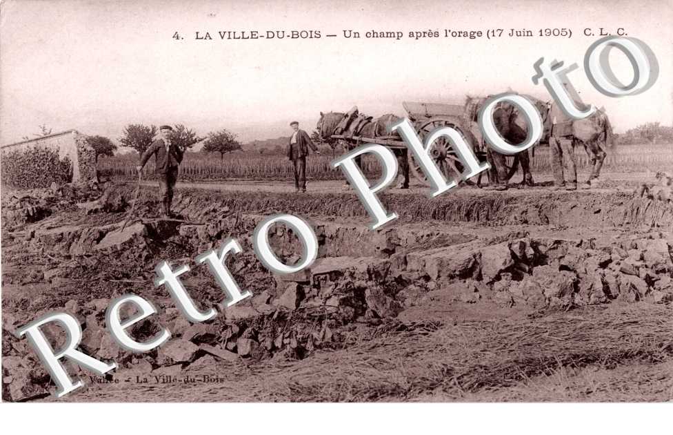 Un Champ apres l'Orage, 17 juin 1905