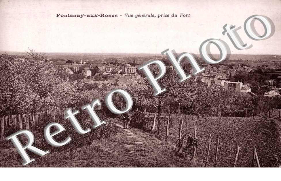 Vue generale