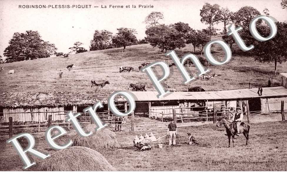 ROBINSON PLESSIS PIQUET - La Ferme et la Prairie