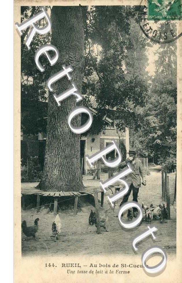 Au bois de Saint-Cucufa