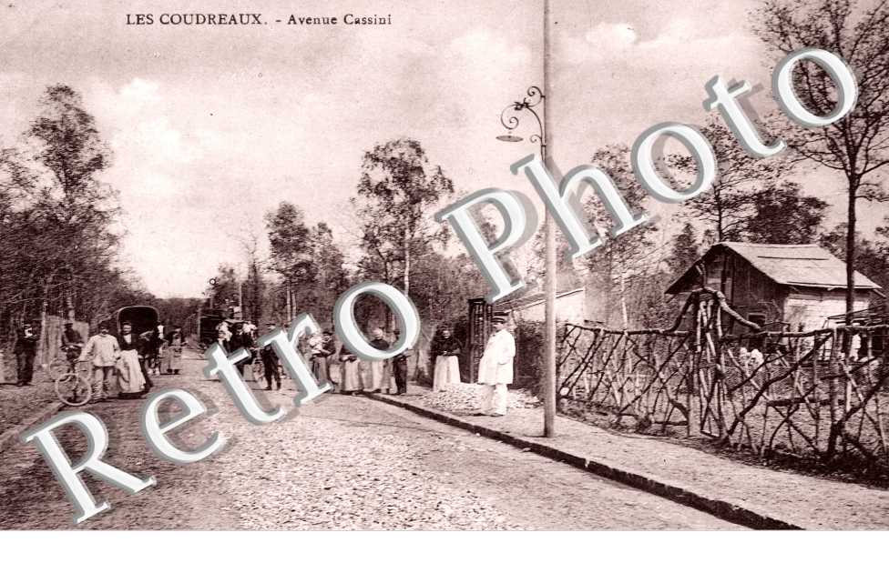 Les Coudreaux, Avenue Cassini