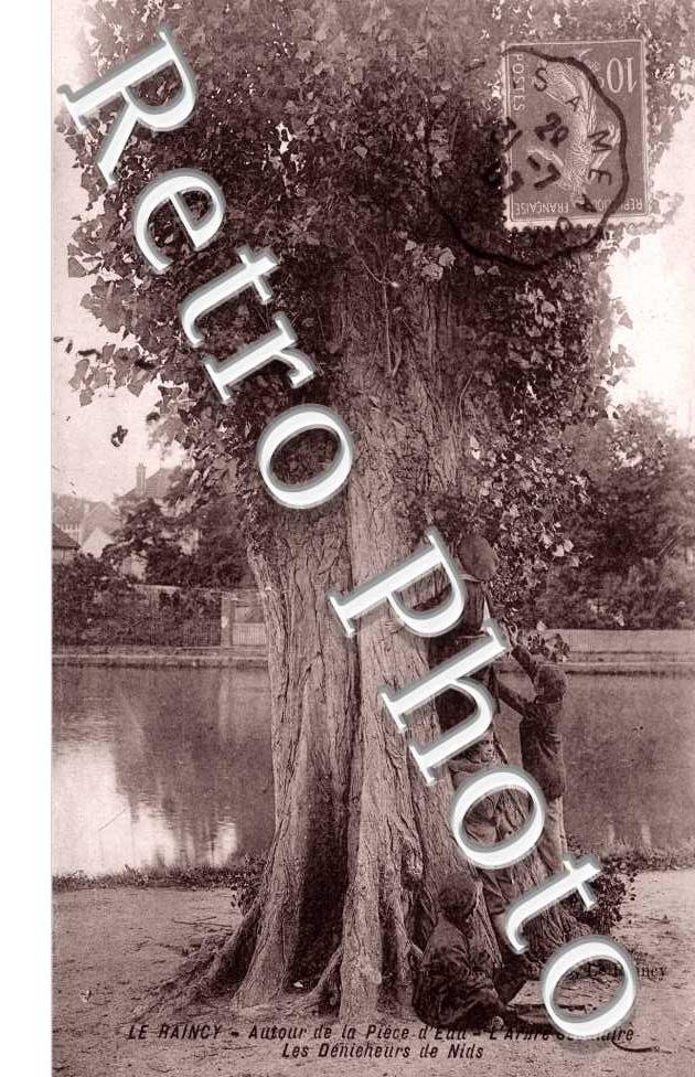 L'Arbre seculaire, les Denicheurs de Nids