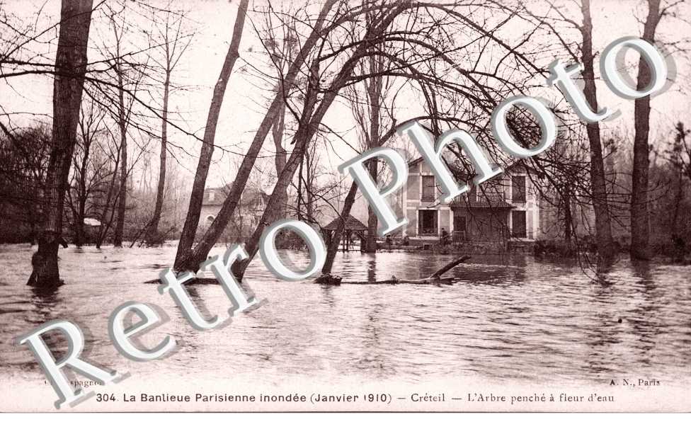 Inondations 1910, l'arbre penche a fleur d'eau