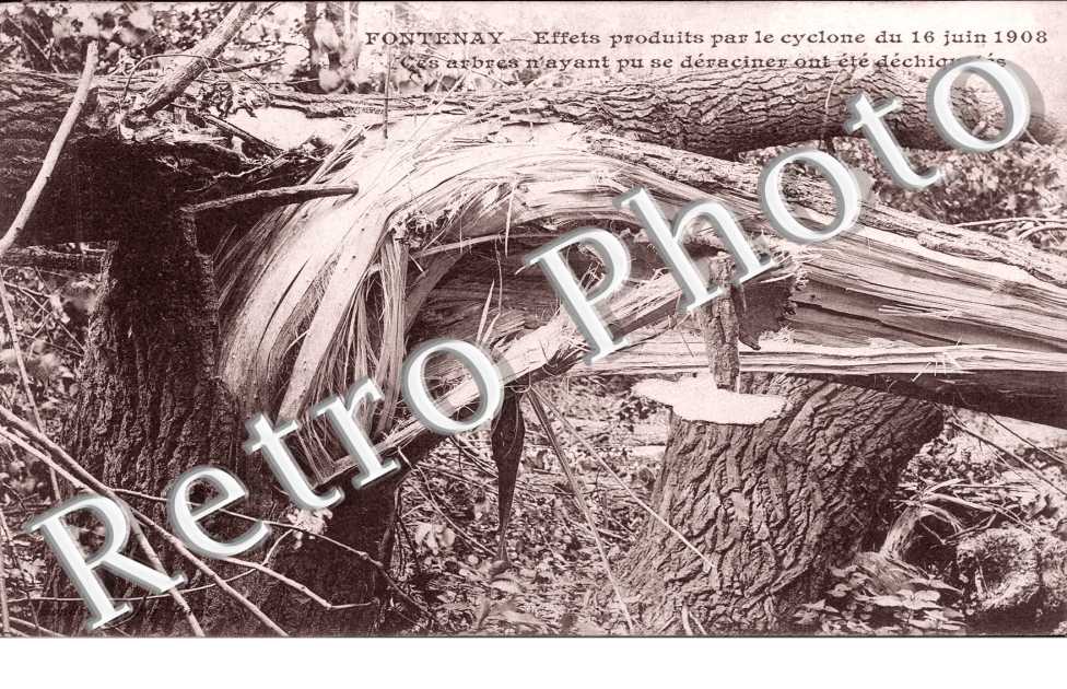 Effets du Cyclone du 16 juin 1908