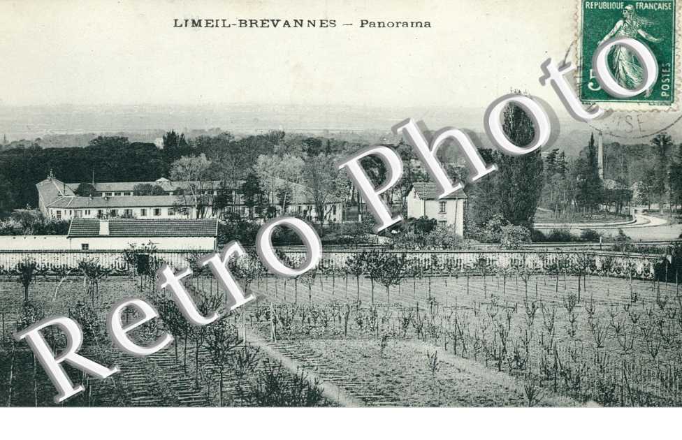 Panorama