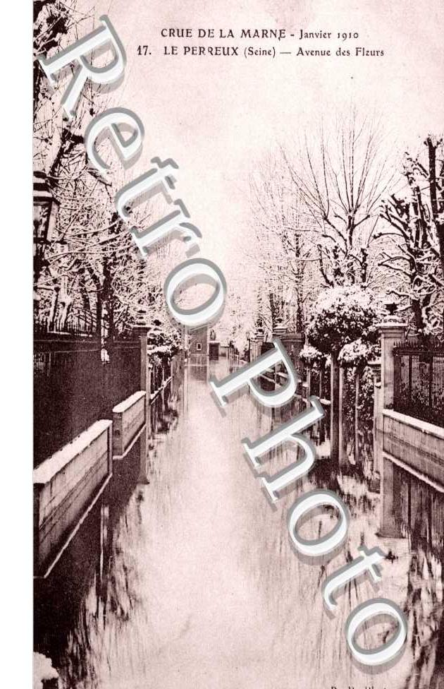 Avenue des Fleurs