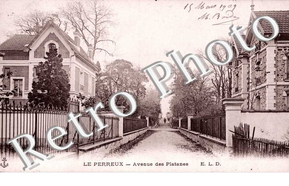 Avenue des Platanes
