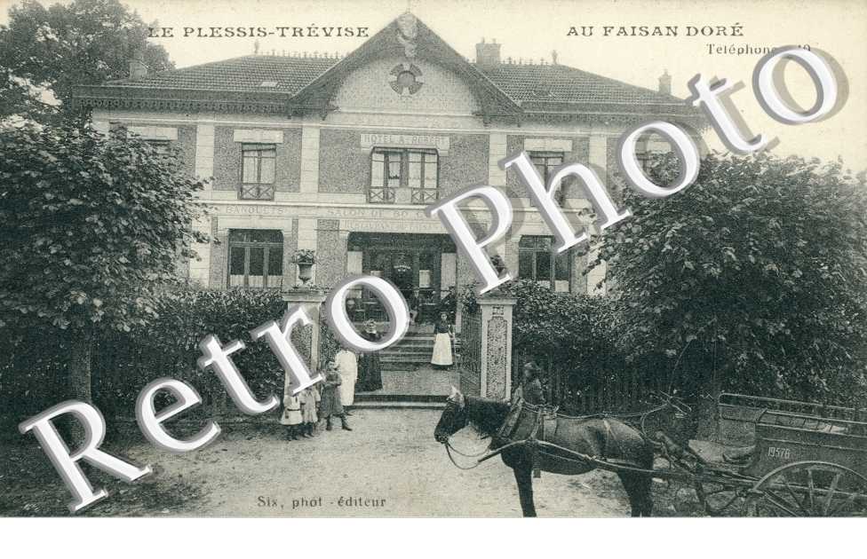 au faisan dore