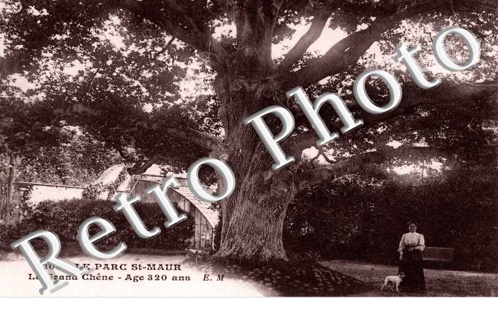 Le Parc - Le Grand Chêne