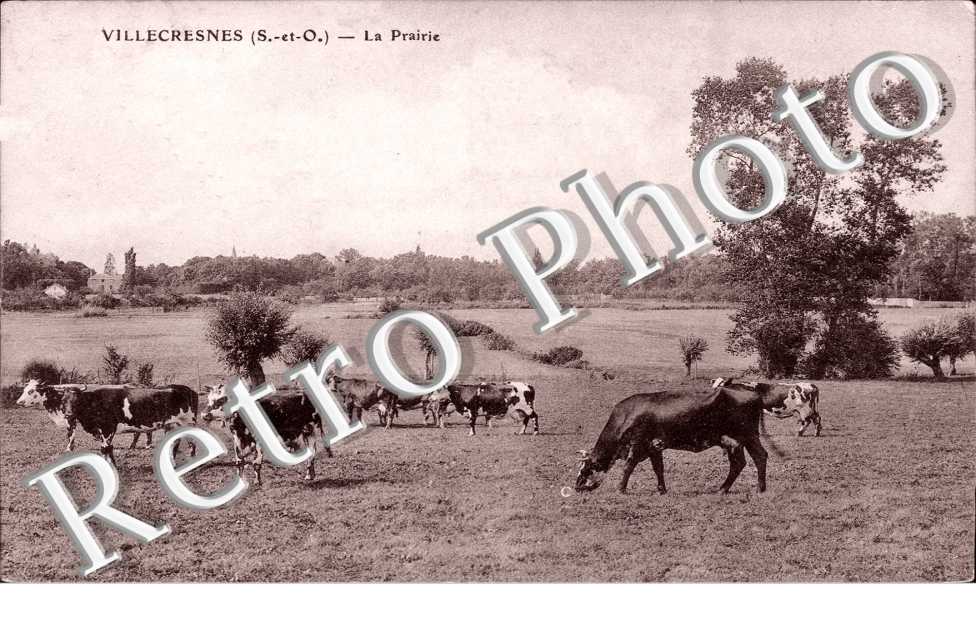 La Prairie