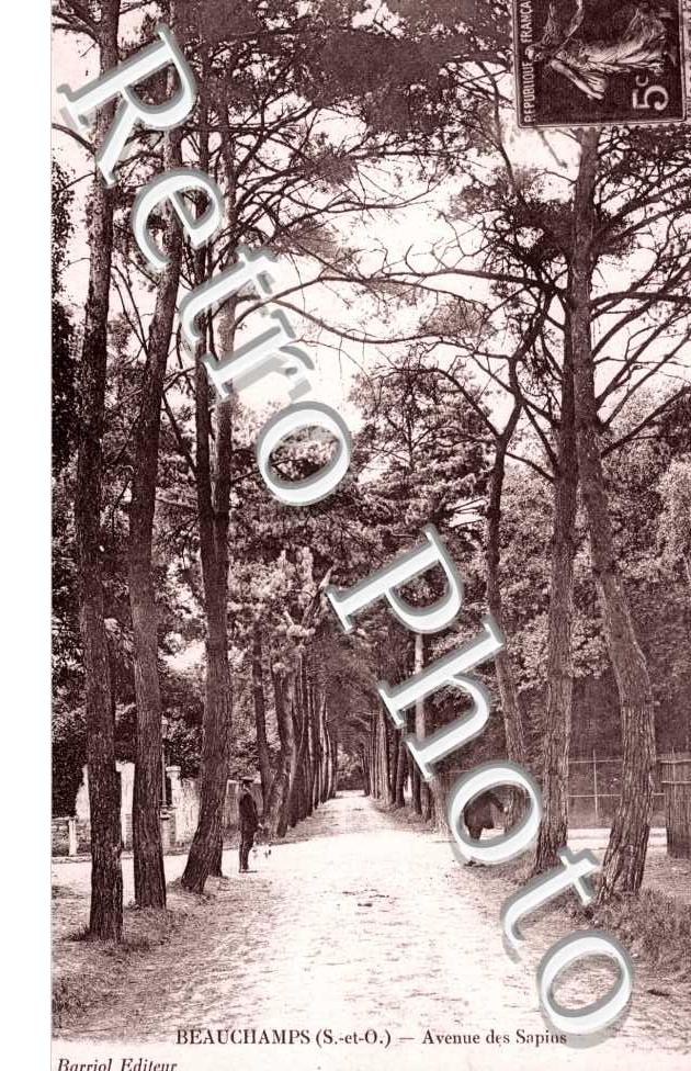 Avenue des Sapins
