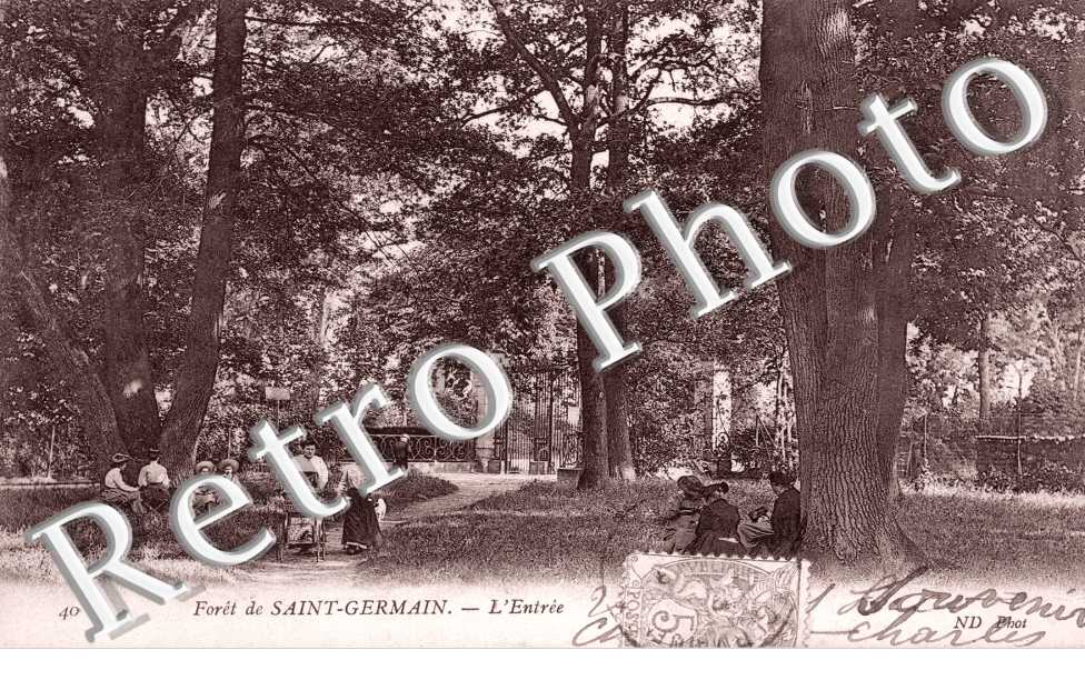 Foret de St Germain, l'Entree