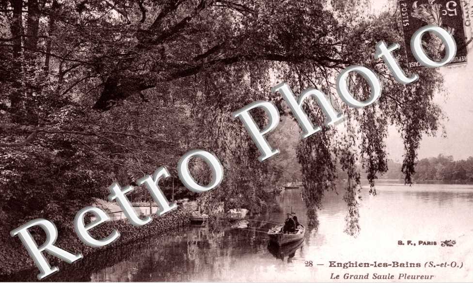 le Grand Saule Pleureur