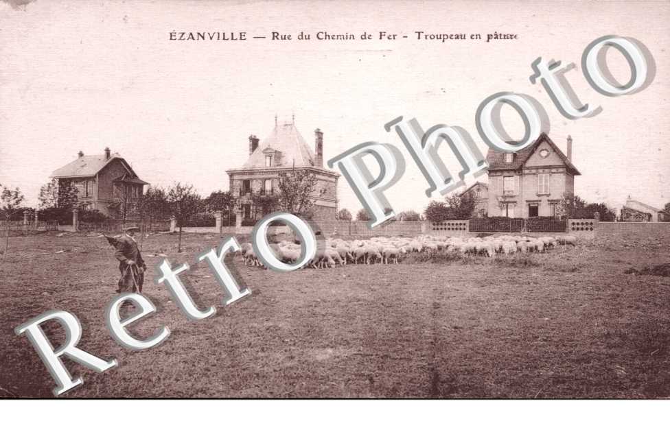 Rue du chemin de fer - Troupeau en pature - elevage