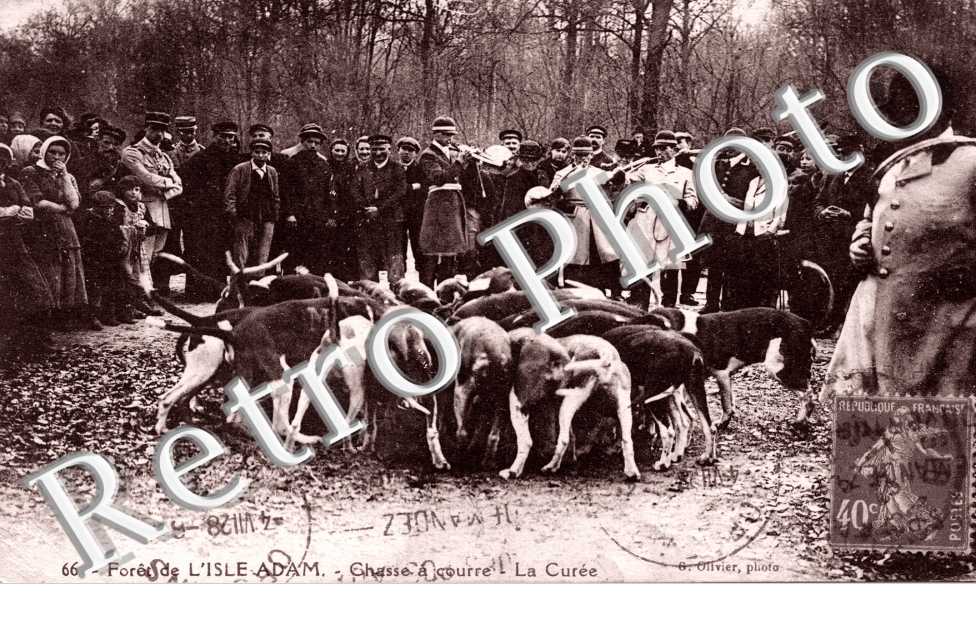Chasse a courre La curee