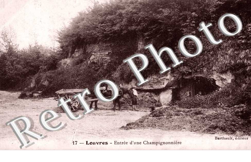 Entree d'une champignonniere