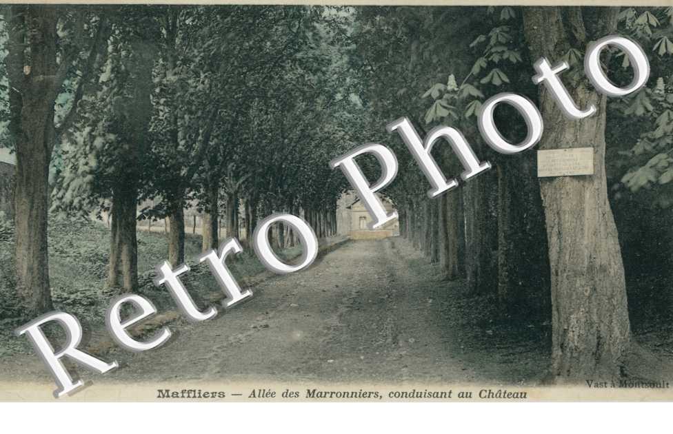 Allee des Marronniers