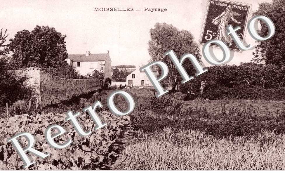 Paysage