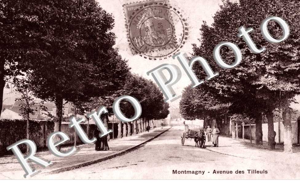 Avenue des Tilleuls