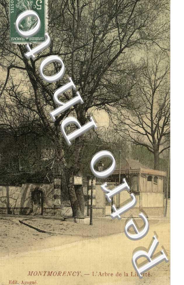 l'arbre de la Liberte