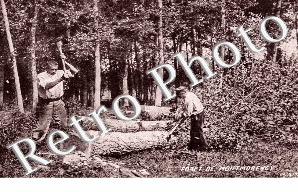 La foret