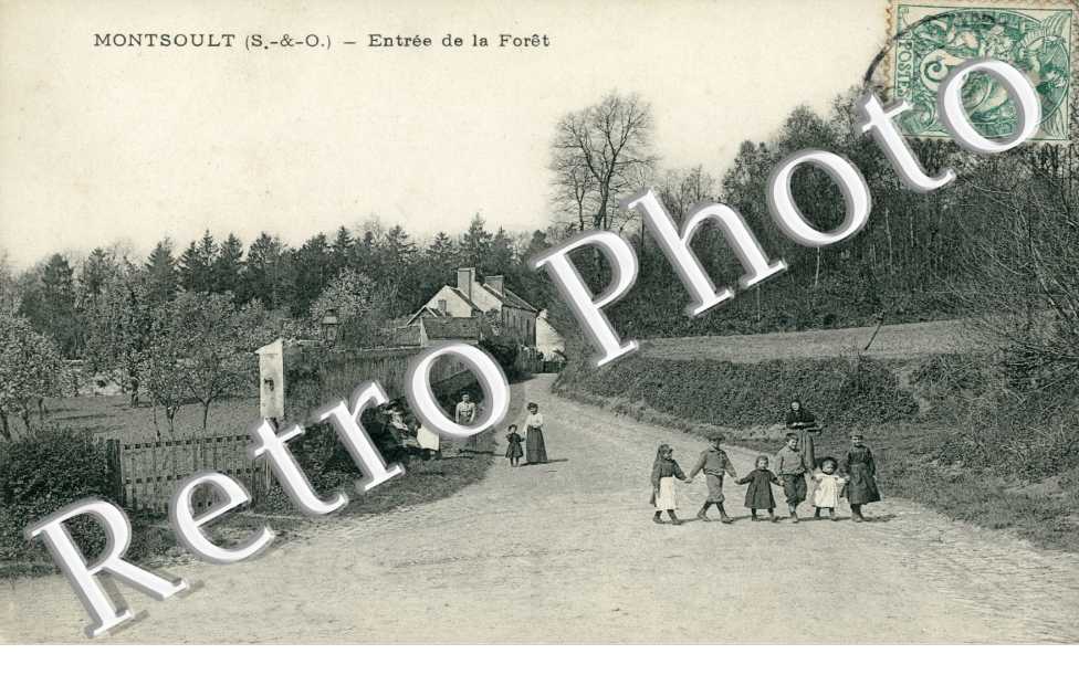 Entree de la foret