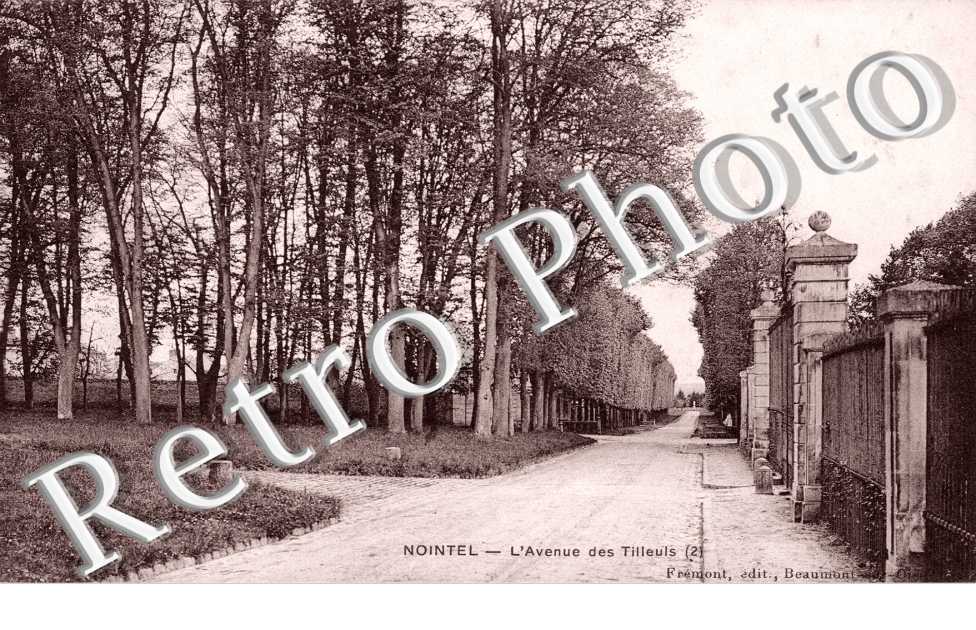 L'Avenue des Tilleuls