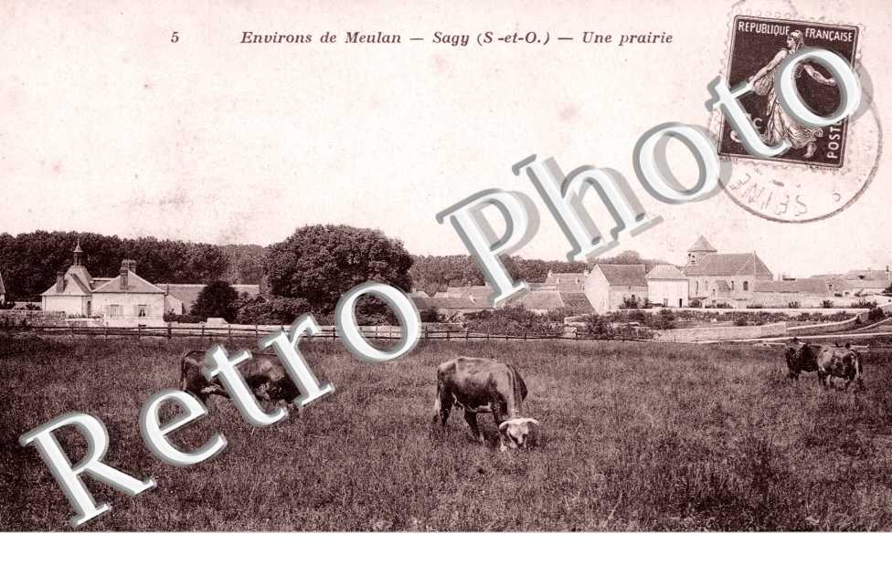 une prairie