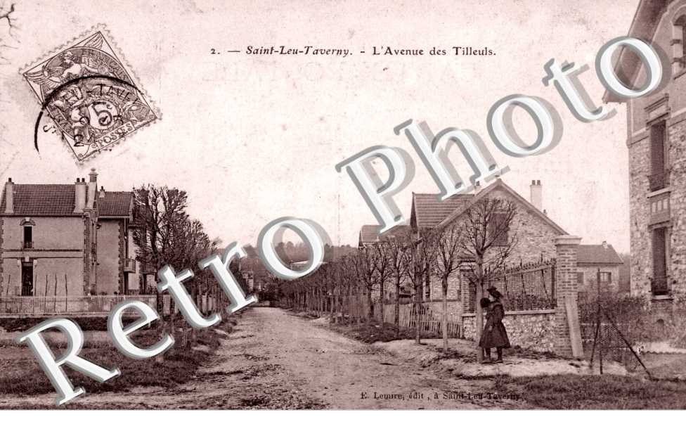 L'Avenue des Tilleuls