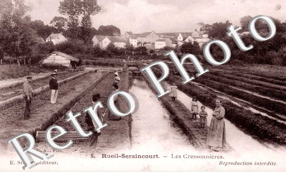 Rueil, Les Cressonnieres