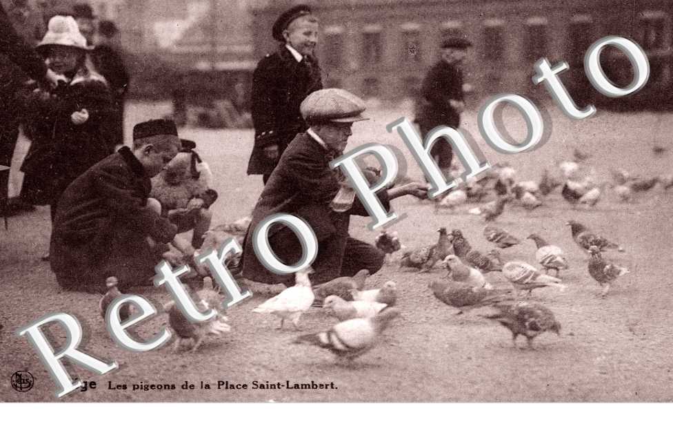 Les pigeons de la Place Saint Lambert