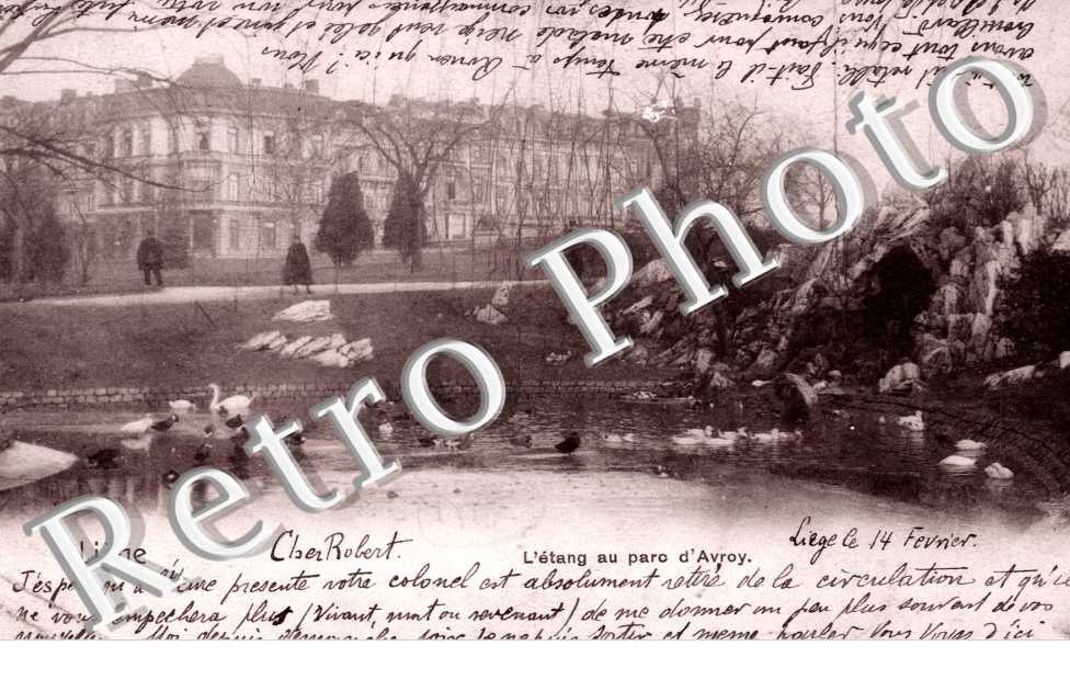 l'etang au Parc d'Avroy