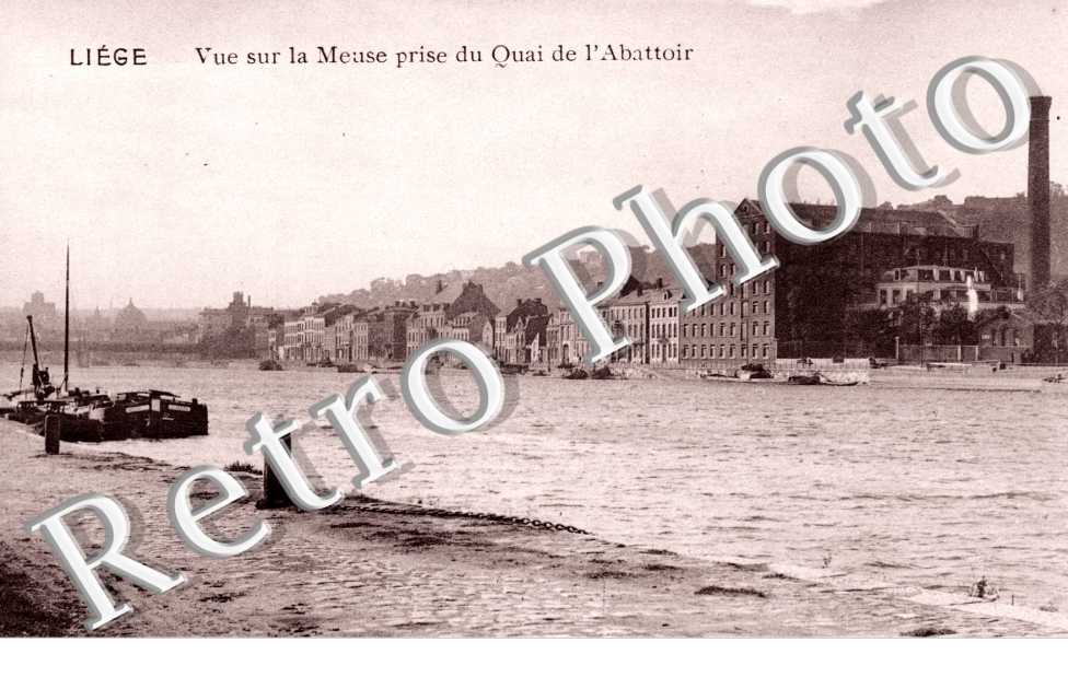 Vue sur la Meuse prise du Quai de l'Abattoir