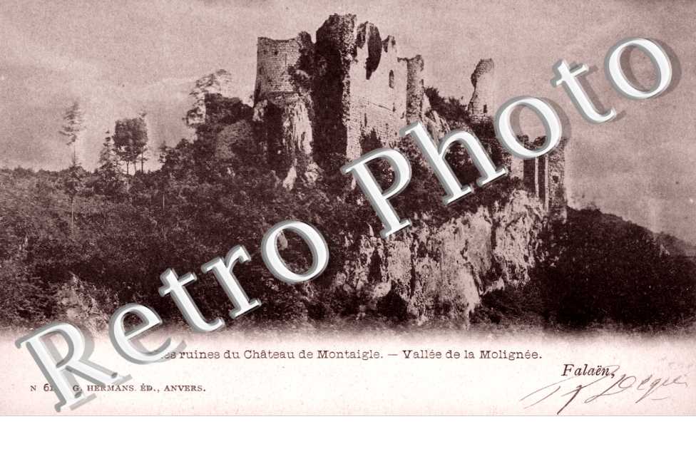 Ruines du Chateau de Montaigle