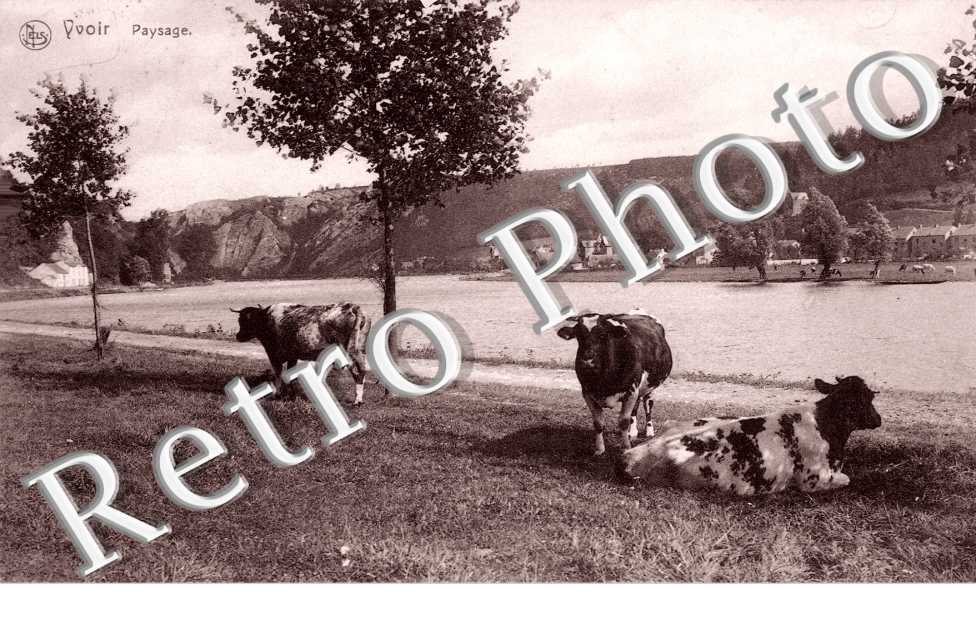 paysage