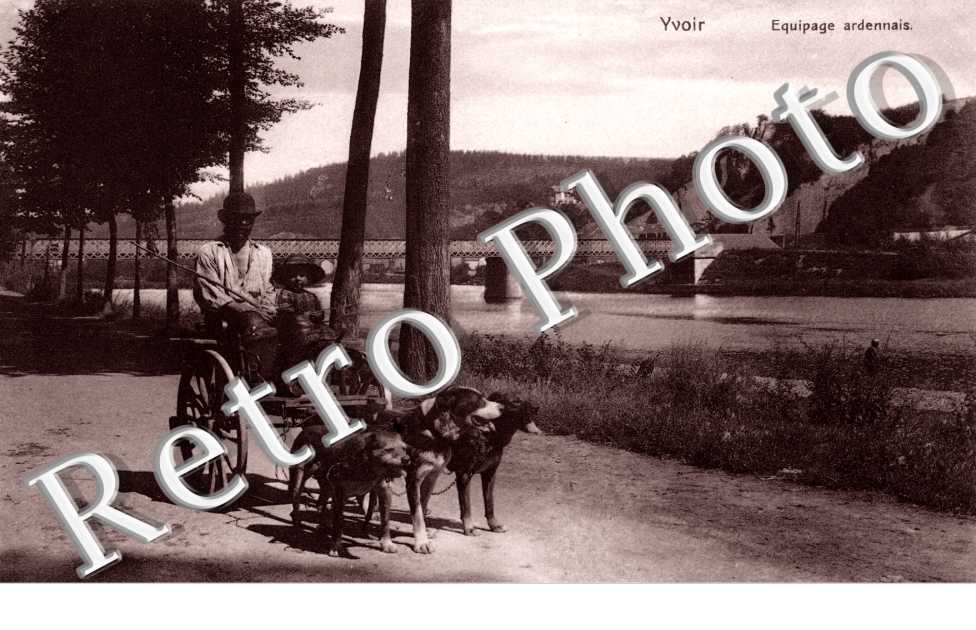 equipage ardennais