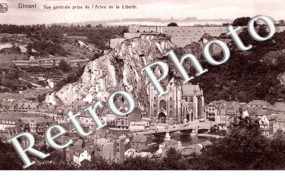 Vue generale prise de l'Arbre de la Liberte