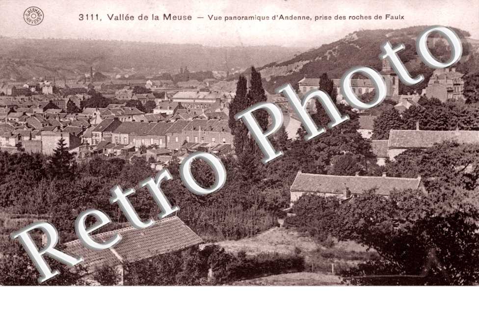 Vue Panoramique d'Andenne prise des Roches de Faulx
