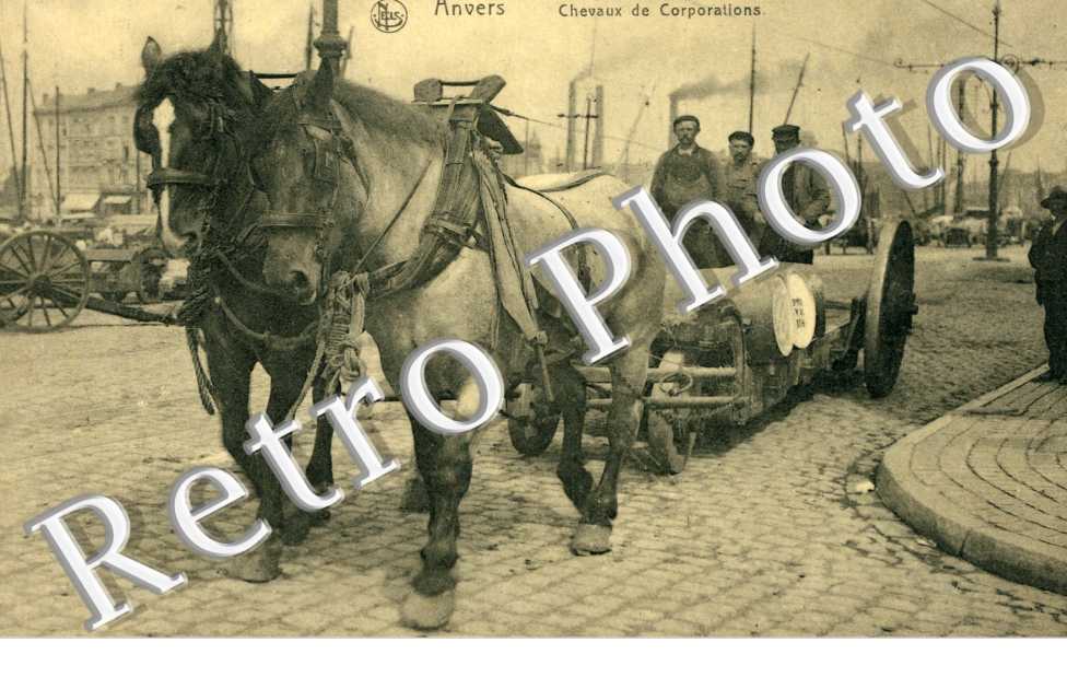 Chevaux de Corporations