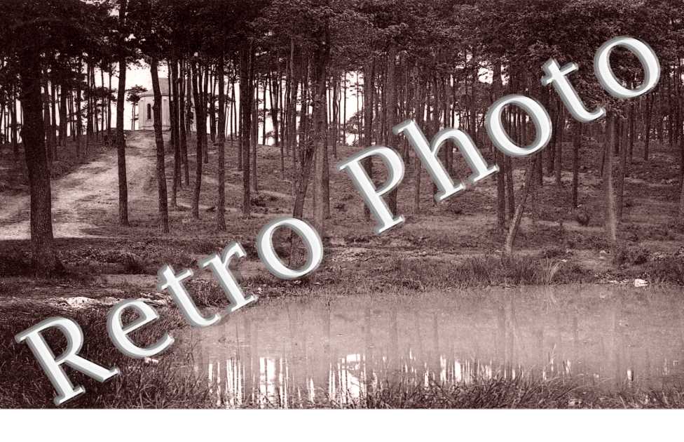 Etang et sous bois