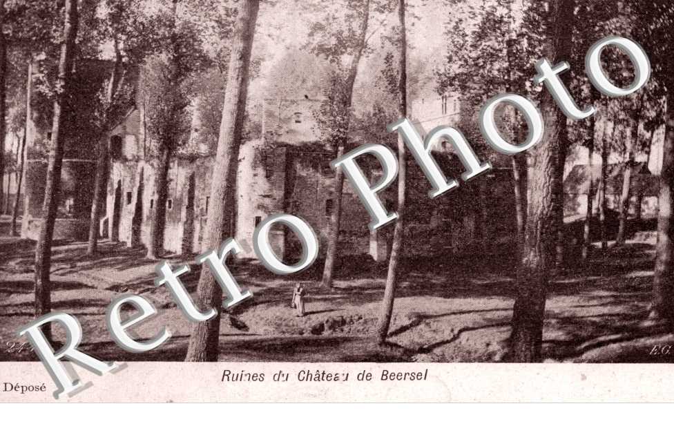 Ruines du Chateau