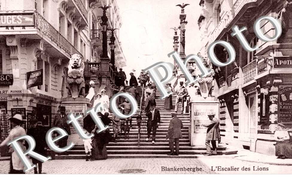 L'escalier des lions