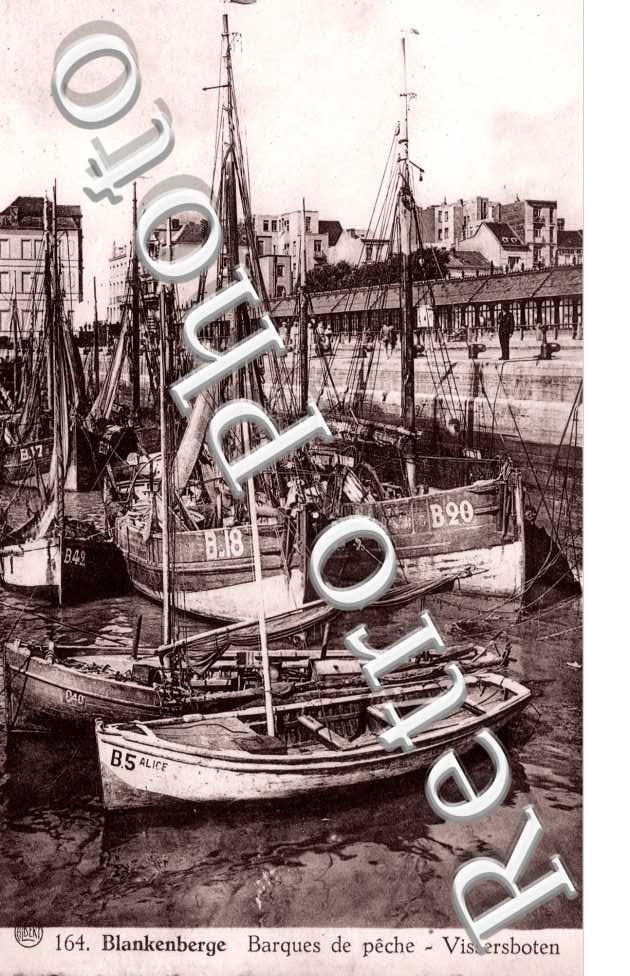 Barques de peche
