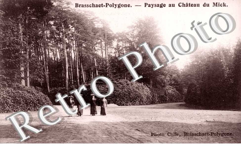 Paysage au Chateau du Mick