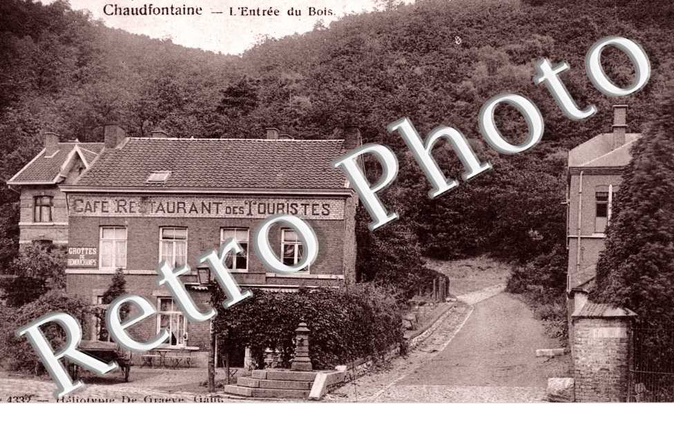 L'entree du bois
