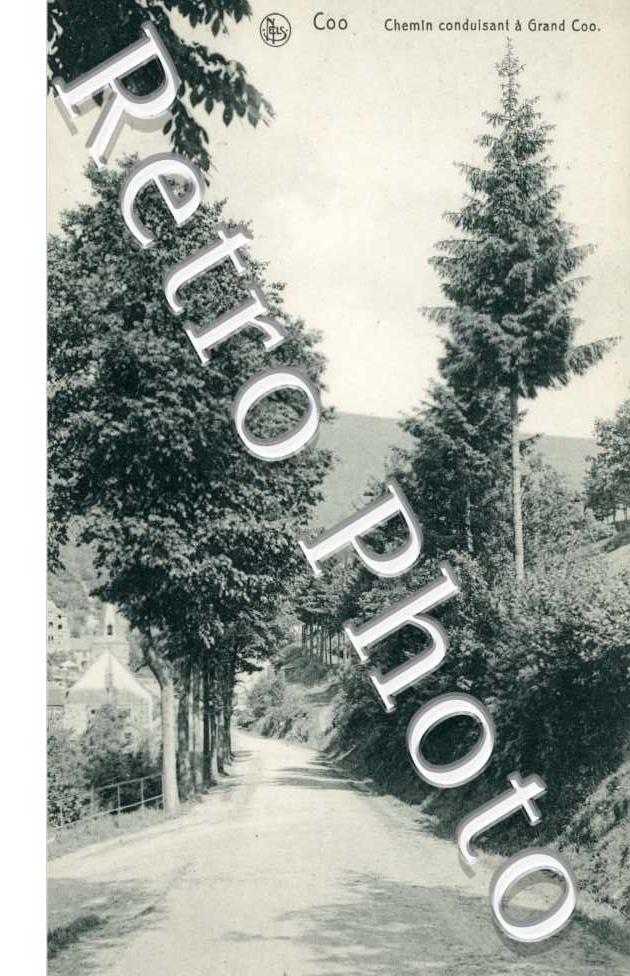 Chemin conduisant a grand Coo