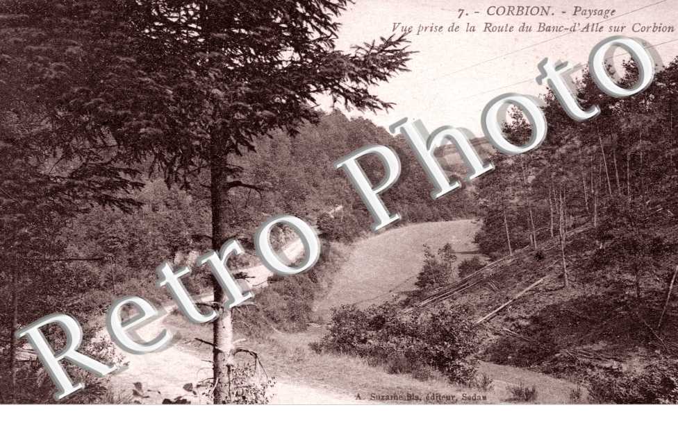 Vue prise de la route du banc d'Alle sur Corbion