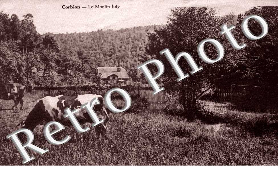 Le moulin Joly