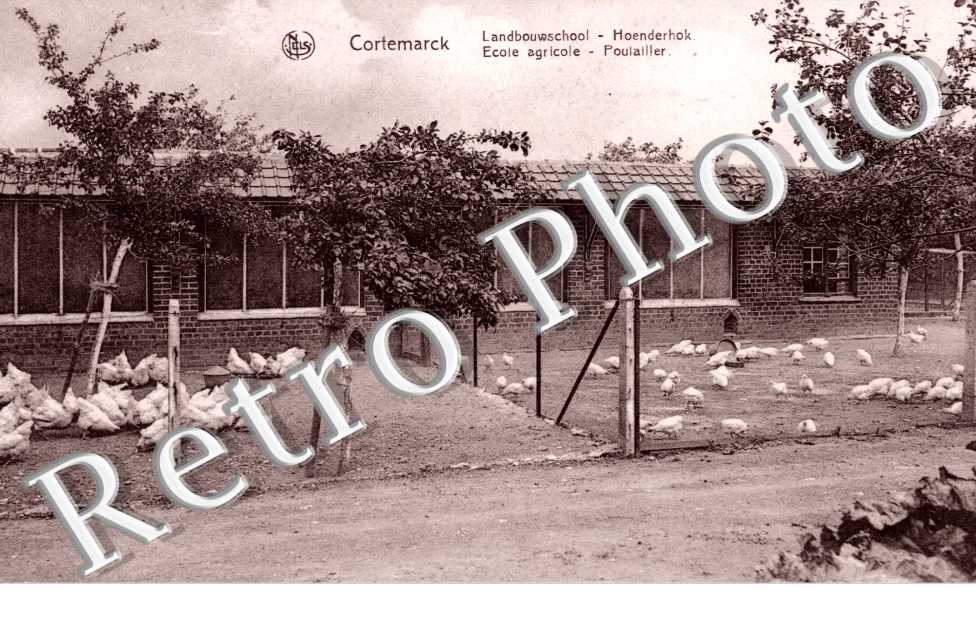Ecole Agricole, Poulailler