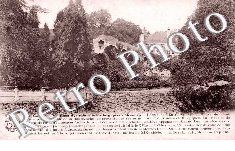 Vestiges des Ruines metallurgiques d'Anonay